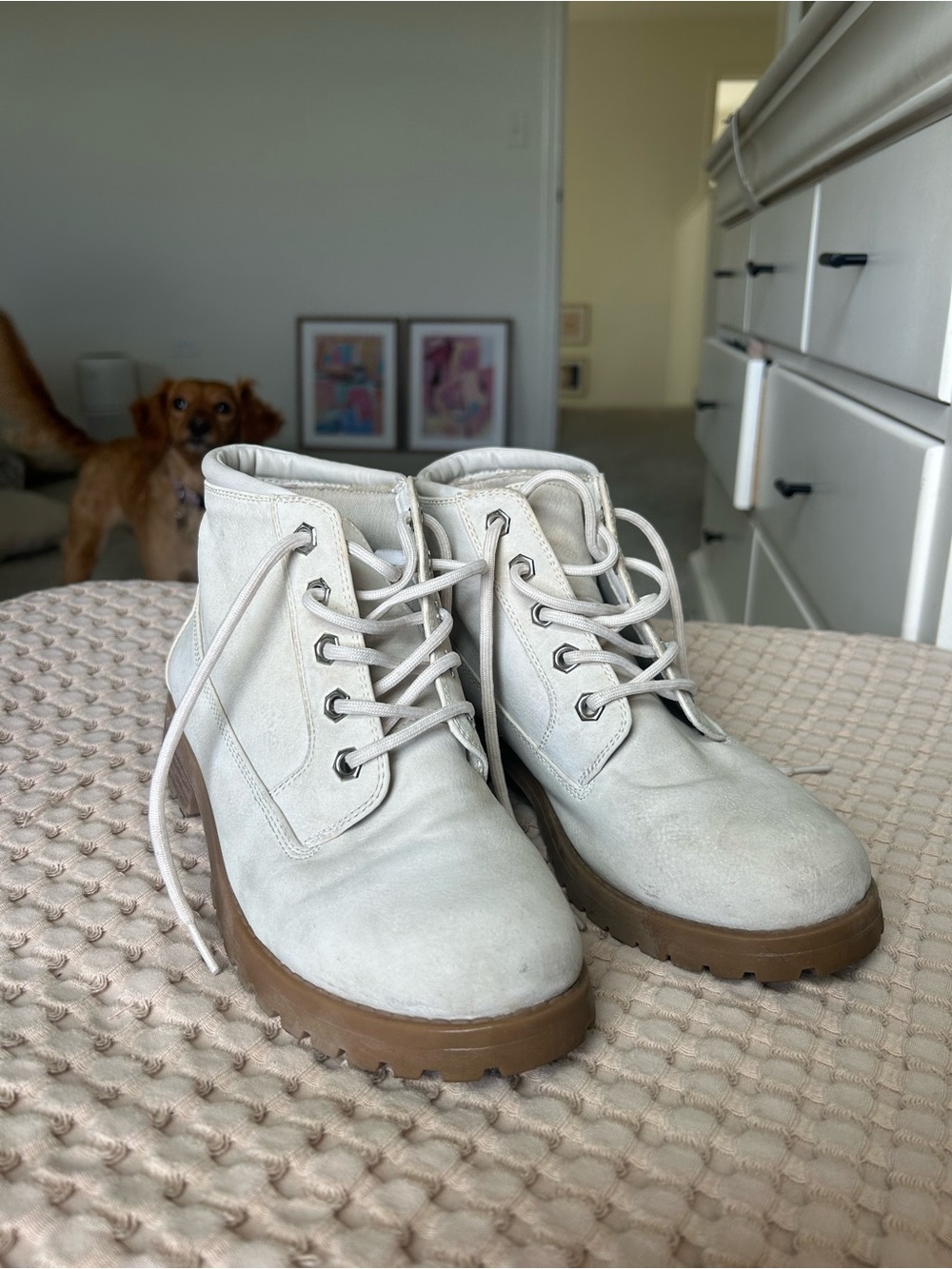 Cliff’s Chunky Lace-Up Ankle Boots in Light Gray with Brown Sole